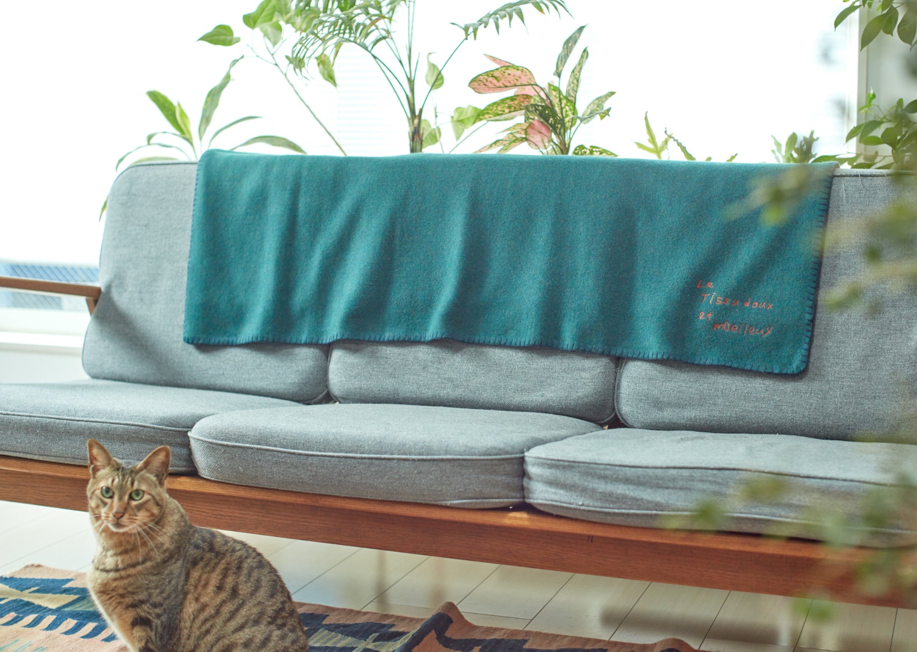 HEAVY RAM MELTON KNIT / BLANKETS – FilMelange