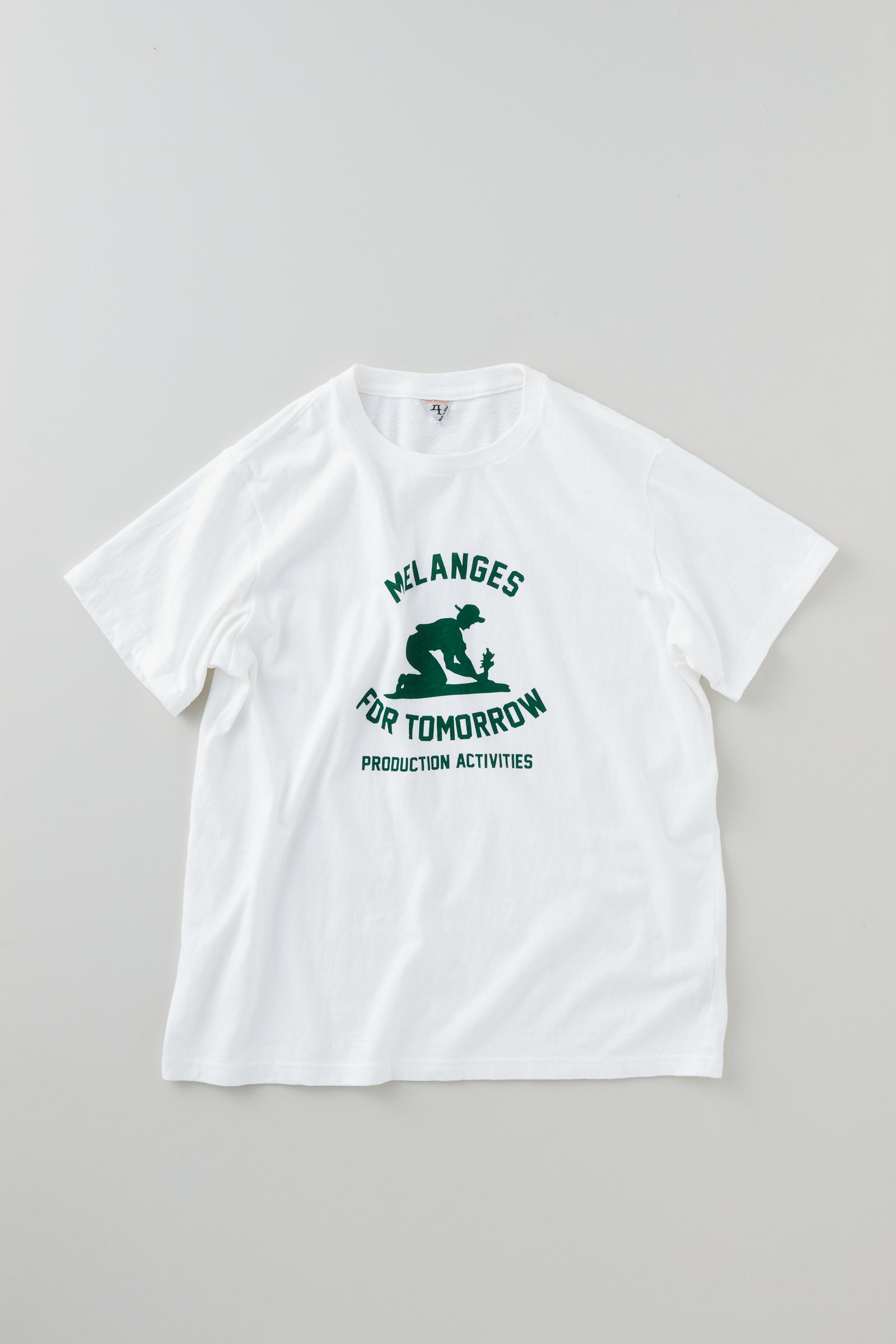 VINK-PLANT / ヴィンクプラントVintage Tenjiku – FilMelange