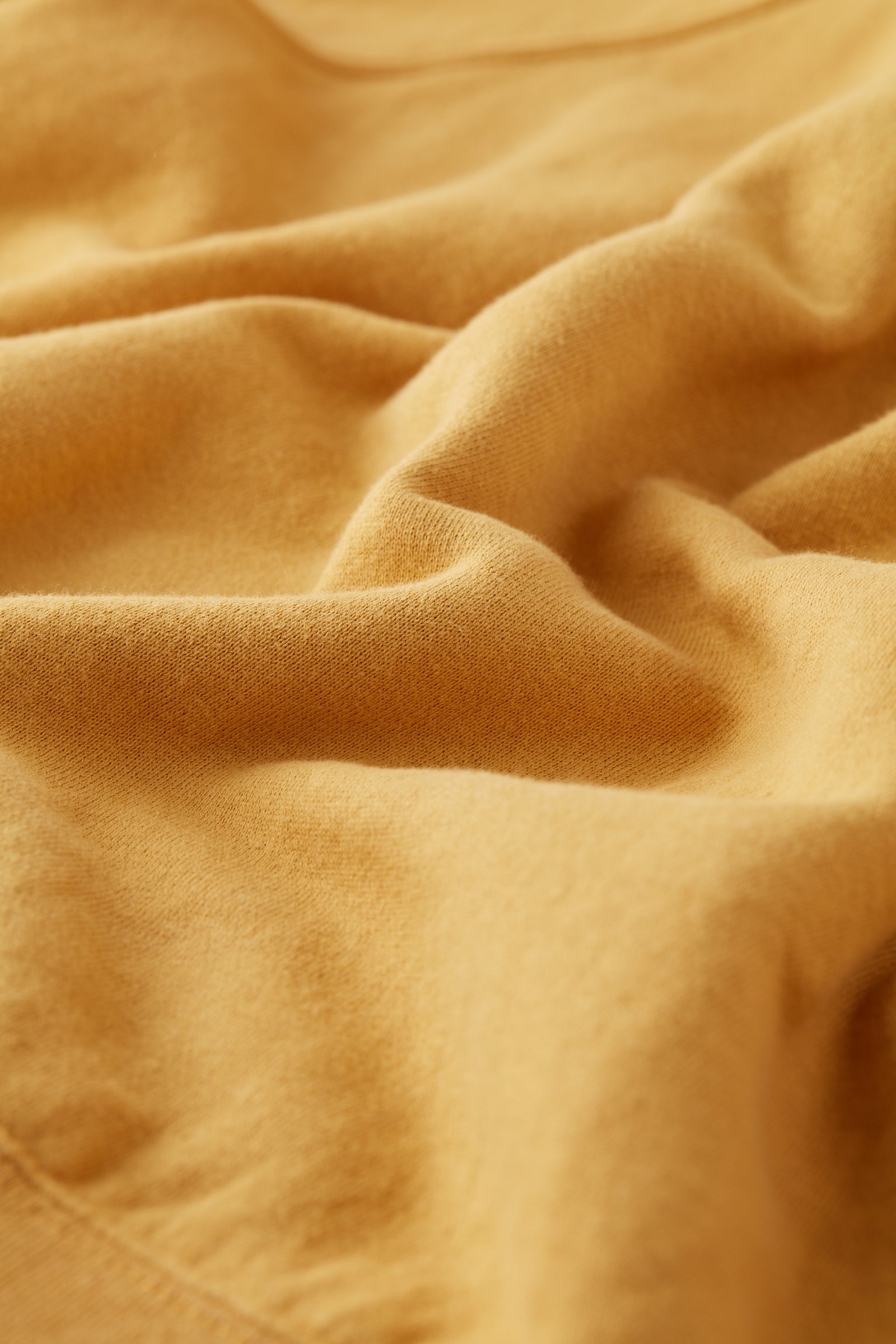 BURD-PTTP / バード Campione Urage – FilMelange